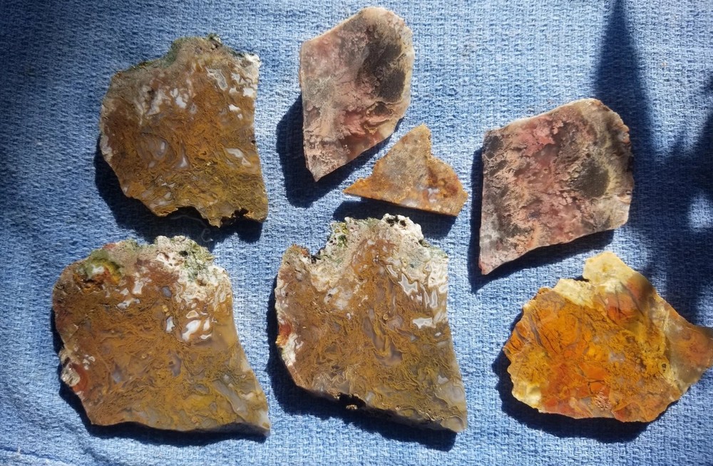 Great Multicolor Moss Plume Agate 7 Slab Lot 230g Various Specimens Translucent