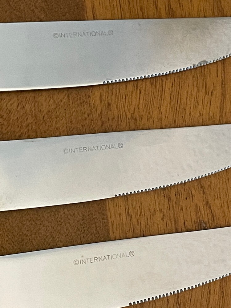 7 International Silver FORTE Stainless Modern Solid Dinner Knives 9.5"