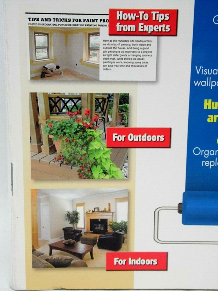 Punch! Weekend Projects PC Software Home Improvement