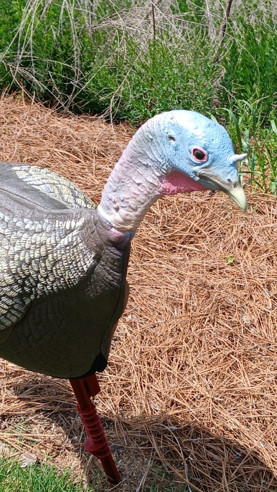 Flambeau (2) + Feather Flex (1) Turkey Decoys