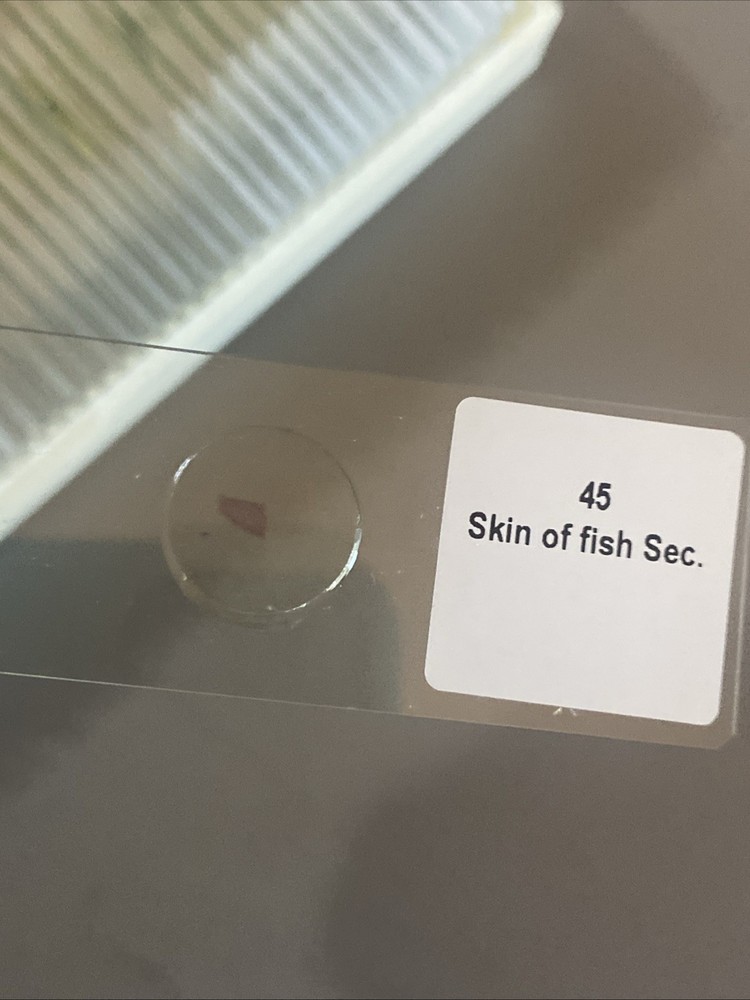 Maxlapter 49 Microscope prepared slides Insect Plant Human Microorganisms