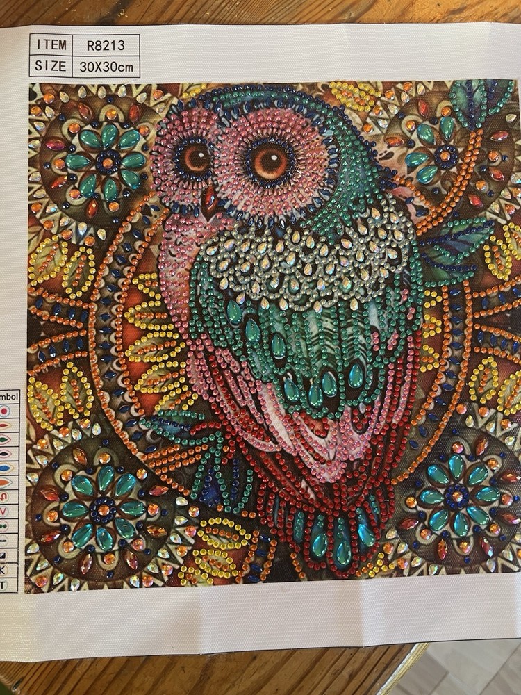 Owl Diamond Art Completed