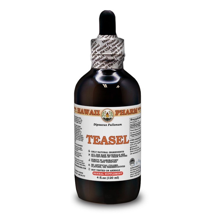 Teasel (Dipsacus fullonum) Dried Root Liquid Extract