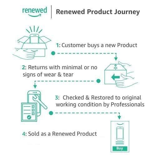 Skullcandy Sesh Evo True Wireless In-Ear Earbud - Pure Mint