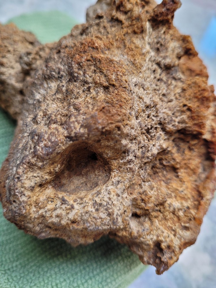 Unique Unknown rock formation (Alien Head Shape) 3lbs