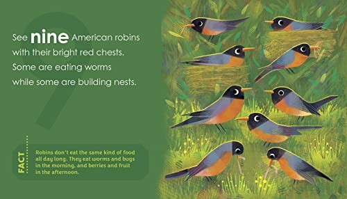Birding for Babies: Backyard Birds: A Numbers Book