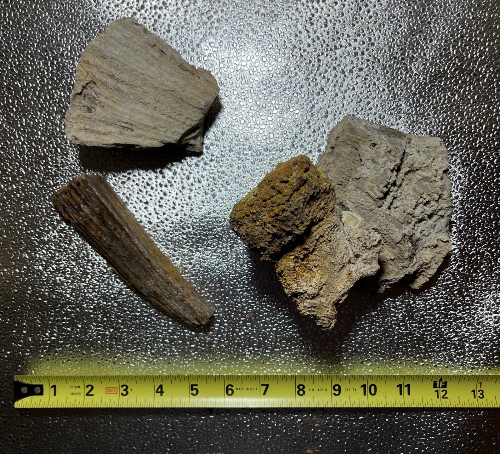 AGATIZED CORAL FLORIDA AGATE GEODES LOT 3 lb 5 oz 4 LARGE FOSSILIZED CORAL GEODE