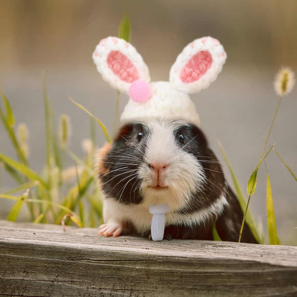 4 Pieces Hamster Hat Mini Small Animals with Adjustable Small, Multicolor