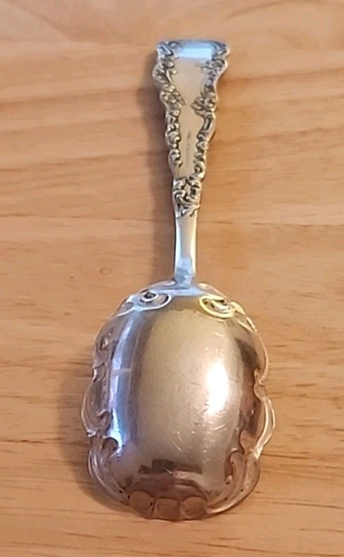 1894 Florida Pattern Sugar Shell Spoon - 5 3/4" ' Int Silver