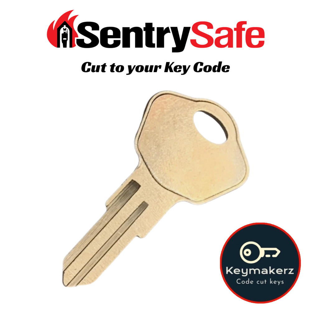 Sentry Safe Keys Cut to Your Key Code 3A2-3W2 Spare Replacement Keys Made