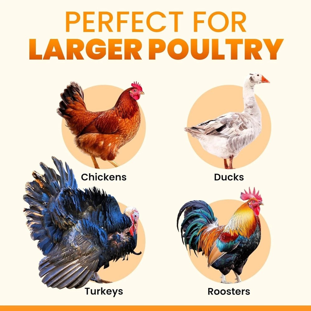 Extra Large Automatic Chicken Coop Door Solar Powered with Remote - LCD Display,