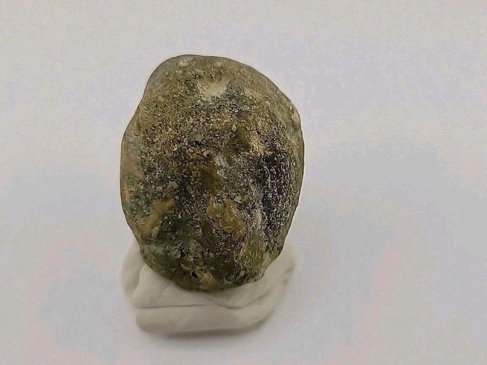 Real Permineralized Dinosaur Half Egg Embro Uv Reactive