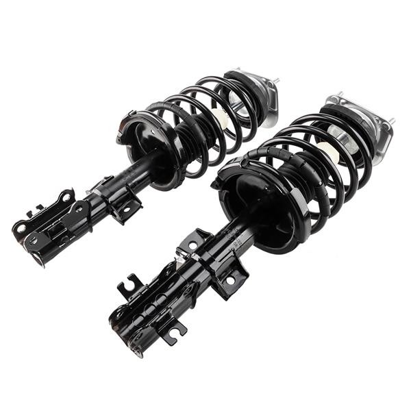 complete strut assembly