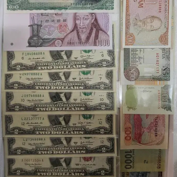 Pokka 8-Digit Bill (Junjun Solid Bill) Official