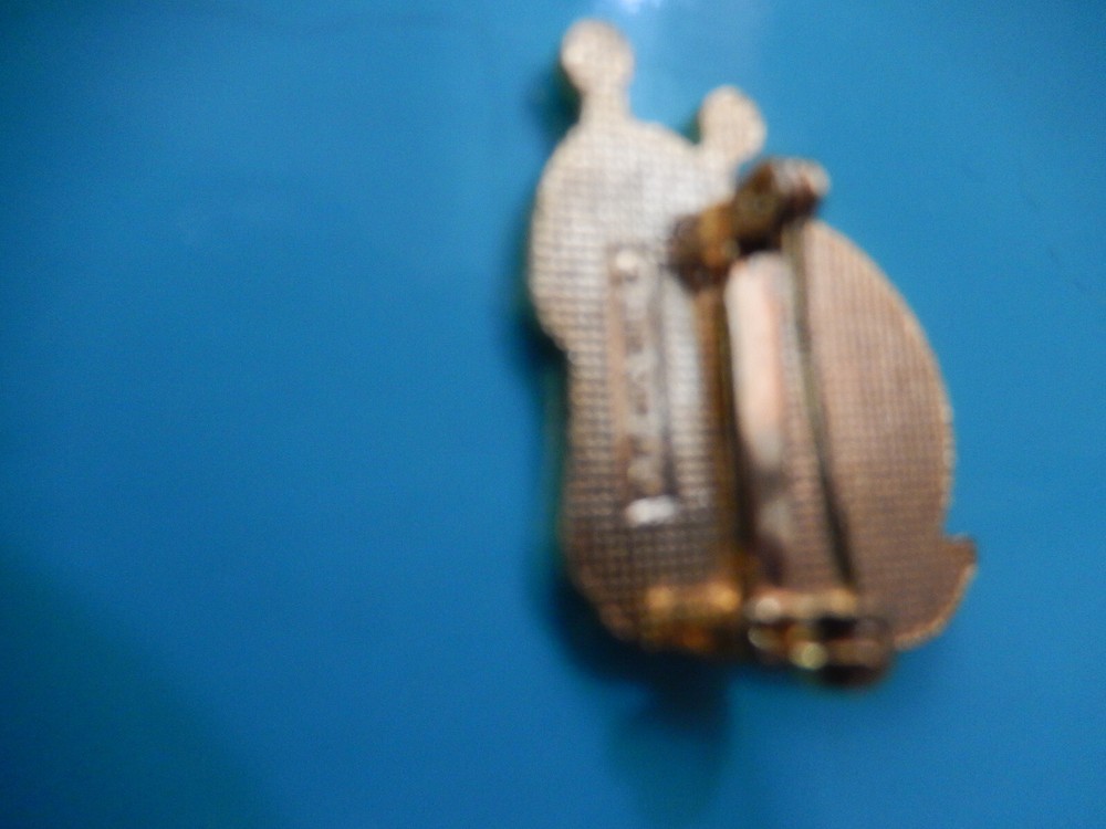 Smiling Comical SNAIL - pin , brooch GIFT BOXED