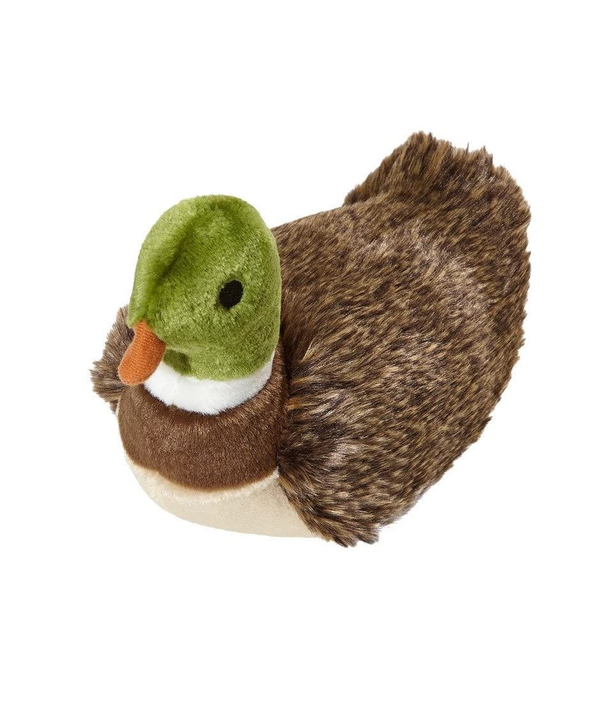 Morley Mallard