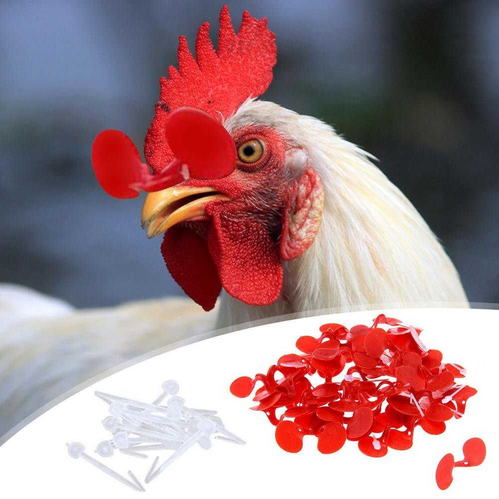 Red Plastic Chicken Eyes Glasses 10 Pack Avoid Hen Peck Each Other Chicken Farm