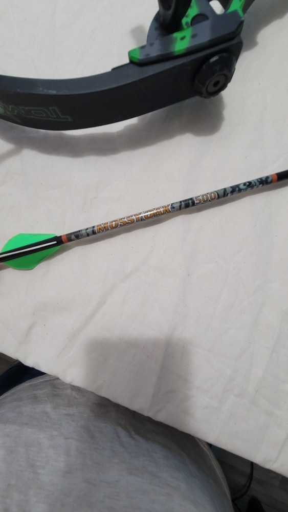 Barnnett tom cat 2 bow