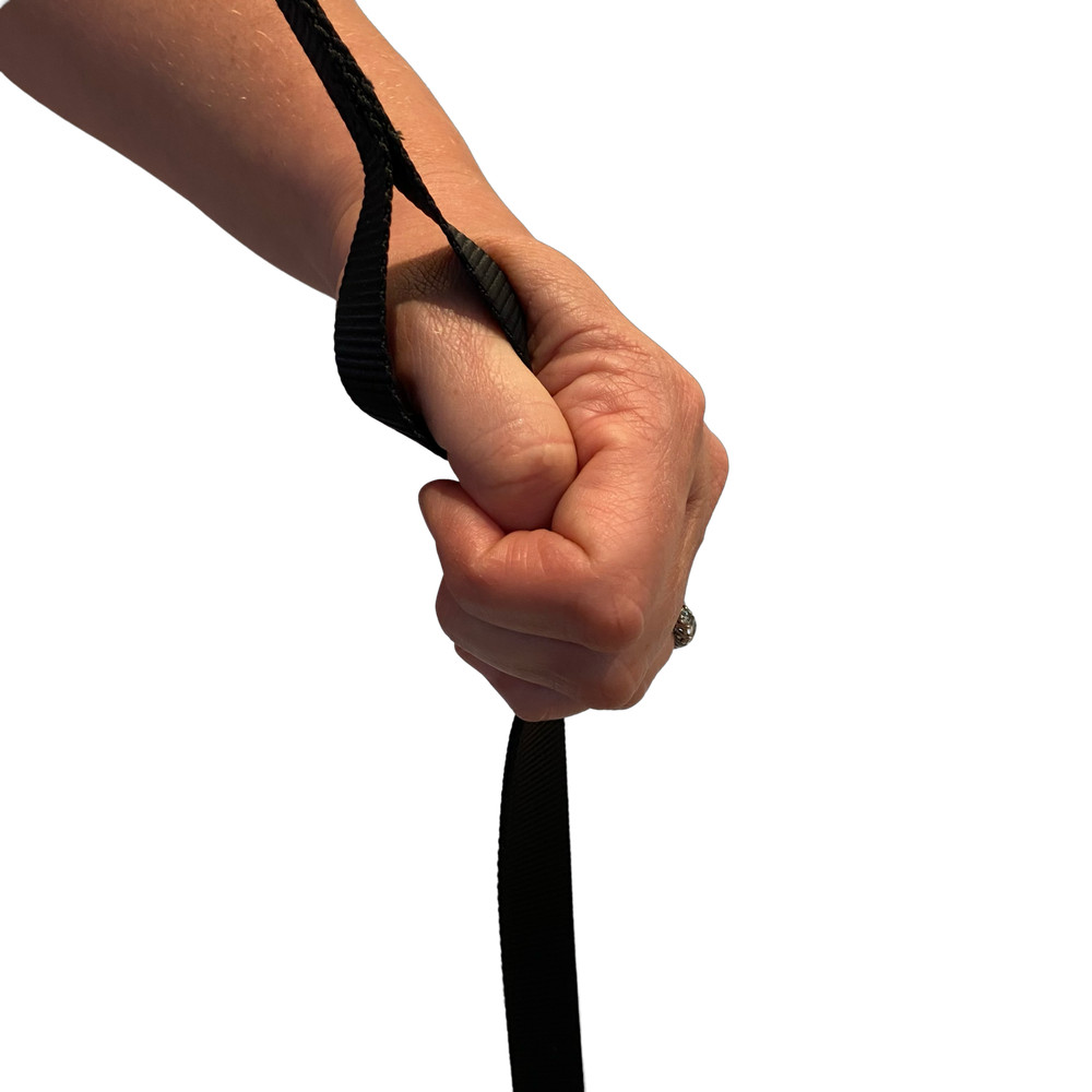 Nylon Multi-point dog training leash