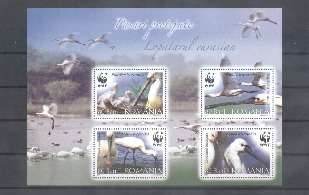 (701251) Birds, WWF, Romania