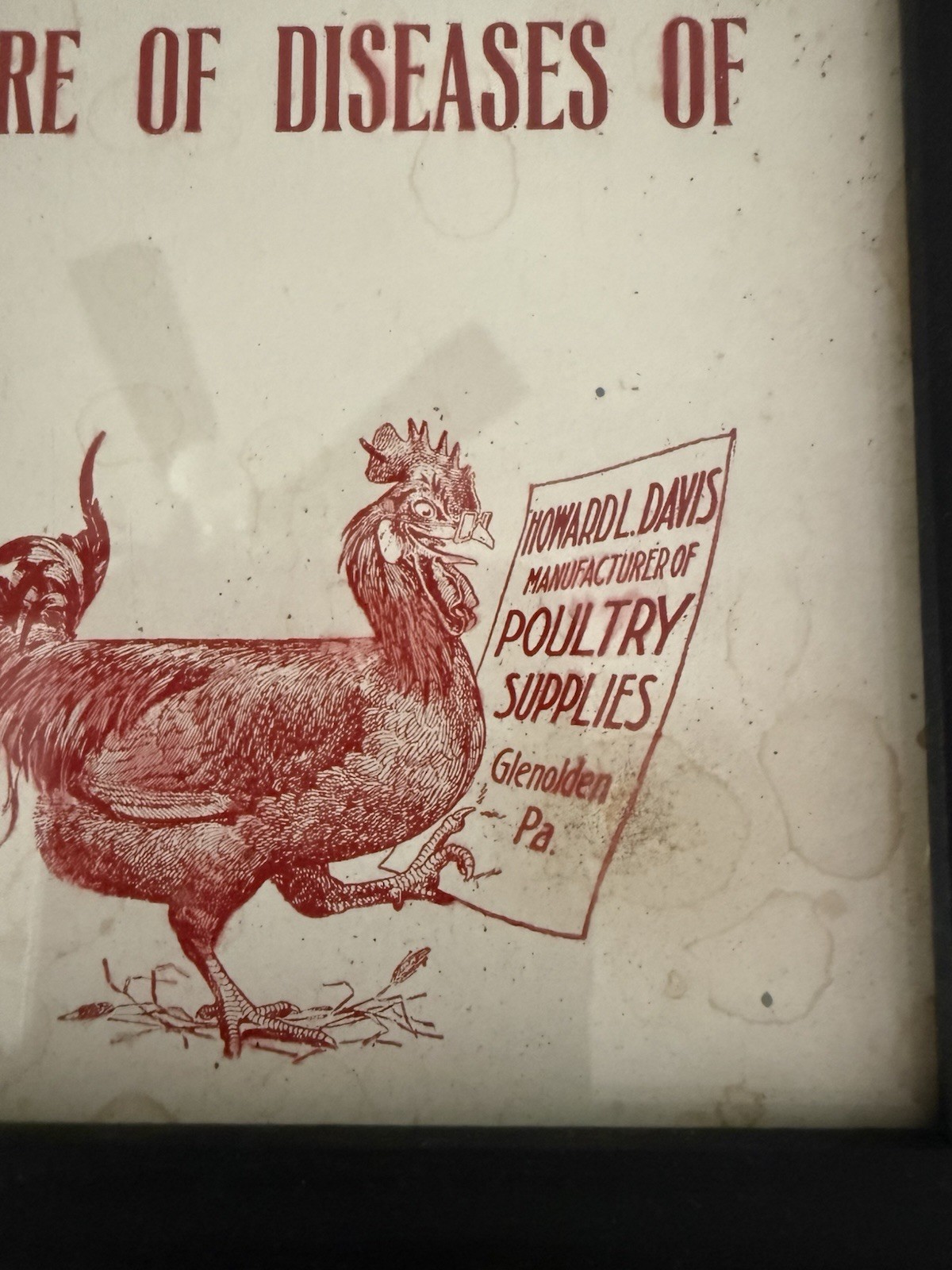 Rare Vtg Howard L. Davis Germ-Asid Graphic Advertising Farm Sign Glenolden PA