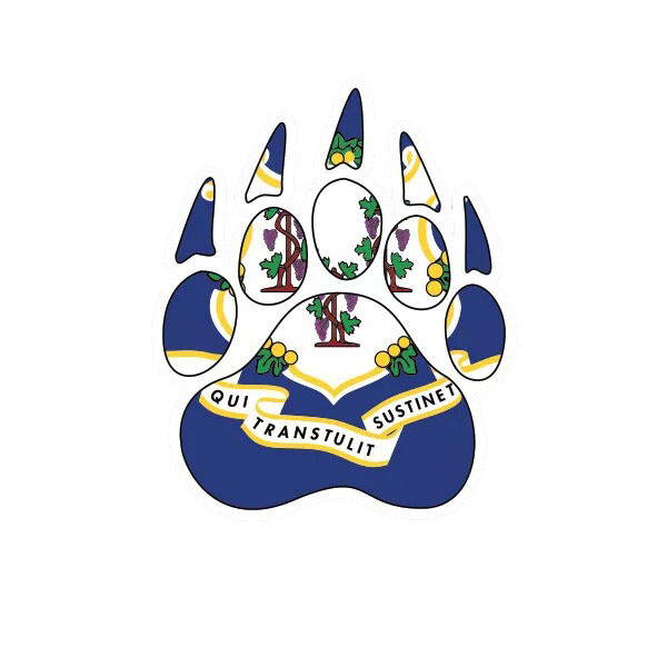 Connecticut State Shaped Bear Print Sticker Decal