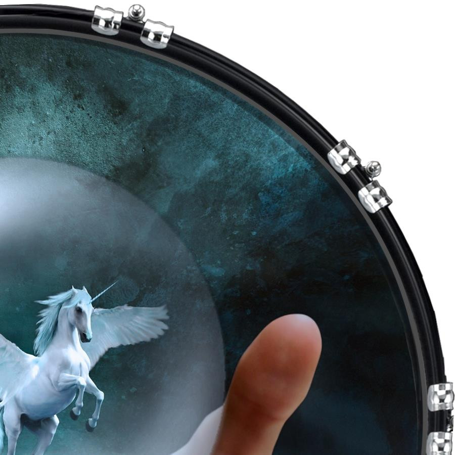 20" Custom Bass Kick Drum Front Head Graphic Graphical Pegasus Release
