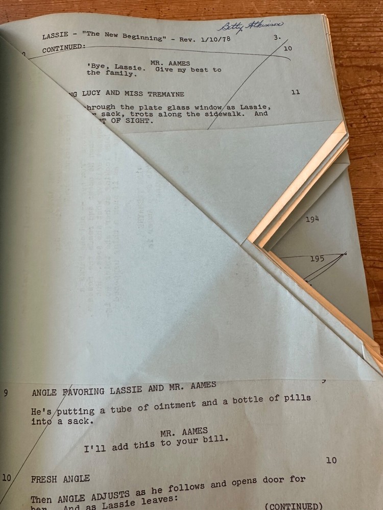 Lassie: A New Beginning TV MOVIE SCRIPT SCREENPLAY