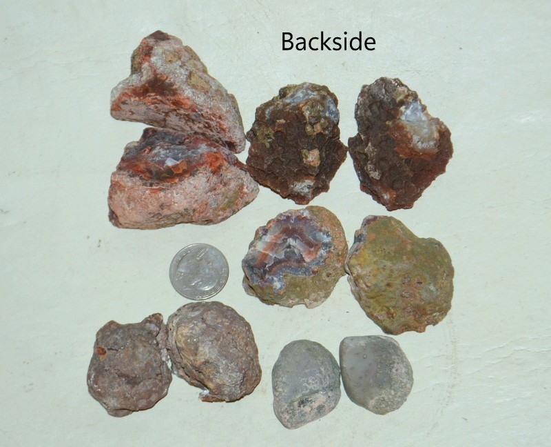 10 pcs Lot Pair Condor Agates from Argentina Wholesale Bulk *