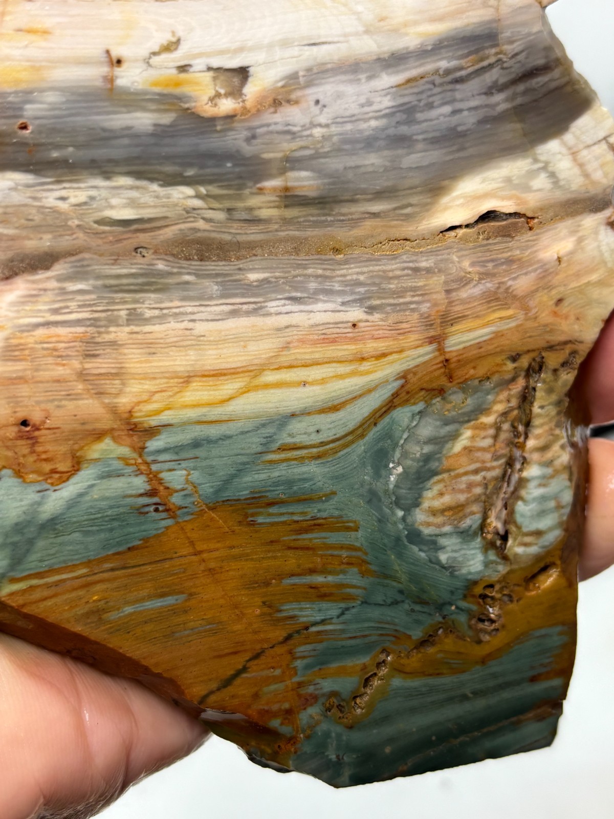 Gary Green Caldera Freedom Jasper Slab Cabbing Lapidary Combo Ship Avail