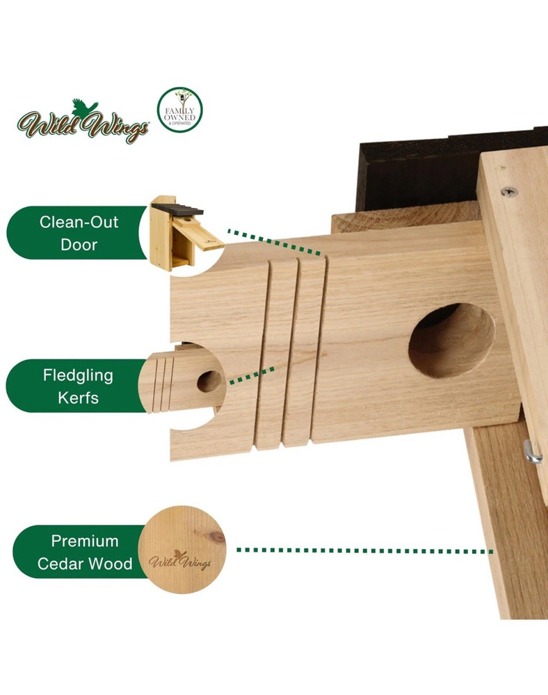 Cedar Blue Bird Box House for Backyard Nesting - Durable & Weatherproof