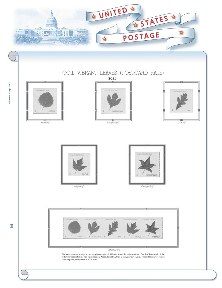 2025 U.S. Regular Issue Singles COMPLETE Supplement (White Ace Alternative)