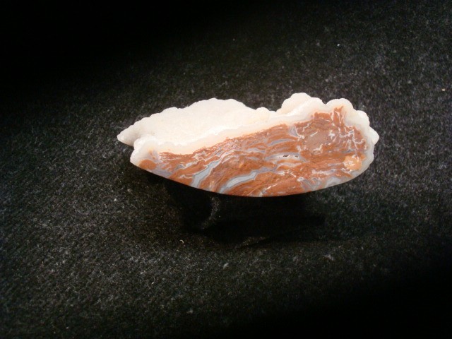 youngite from wyoning