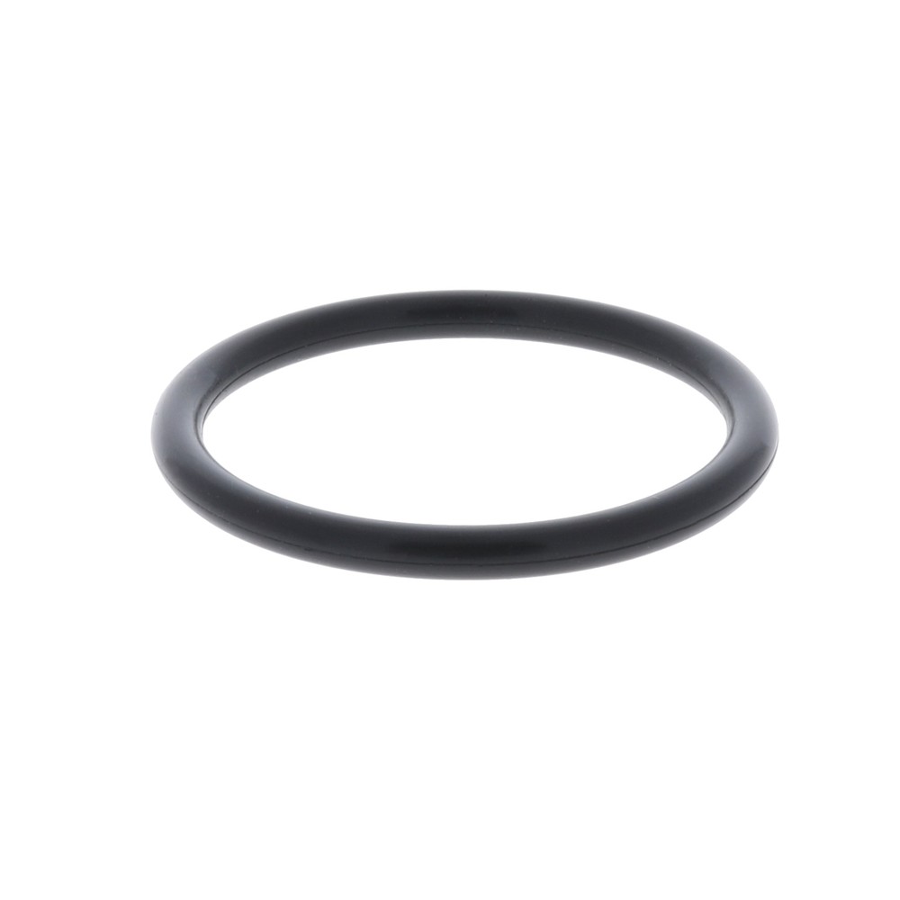 Dema Chemical Support Cylinder O-Ring