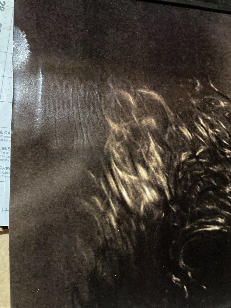 Mariah Carey Large 1991 Promo Poster Emotions Corner Water Damage