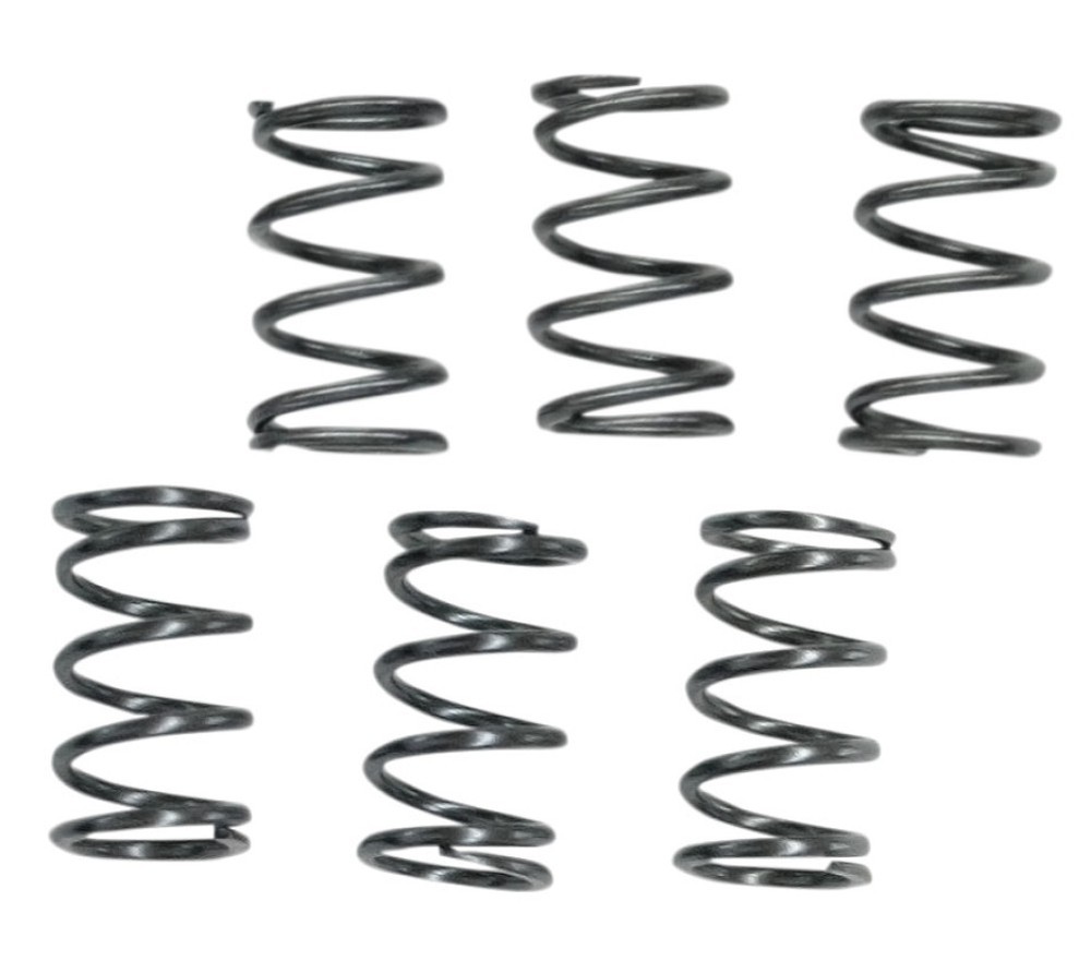 EBC CSK Clutch Spring Set (CSK40)