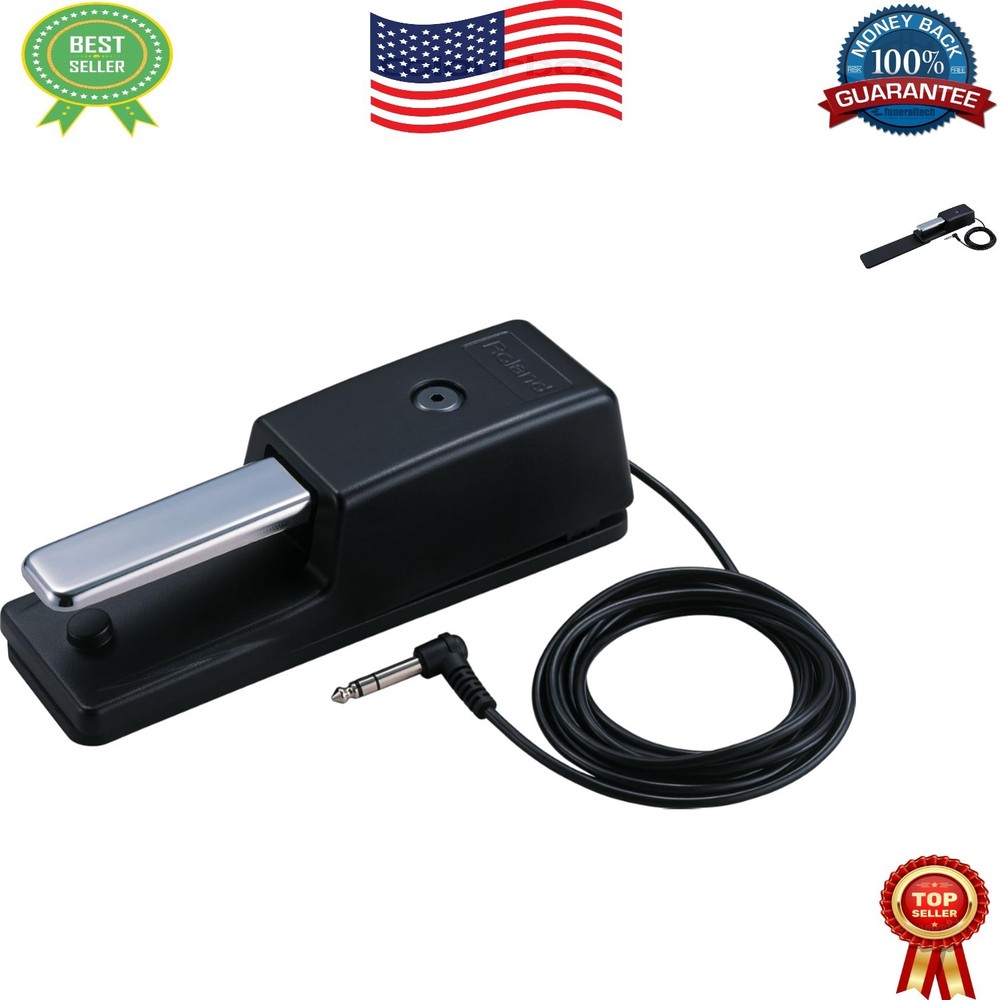 High-Quality Keyboard Pedal: DP-10 with Non-Slip Base & Push Button Control