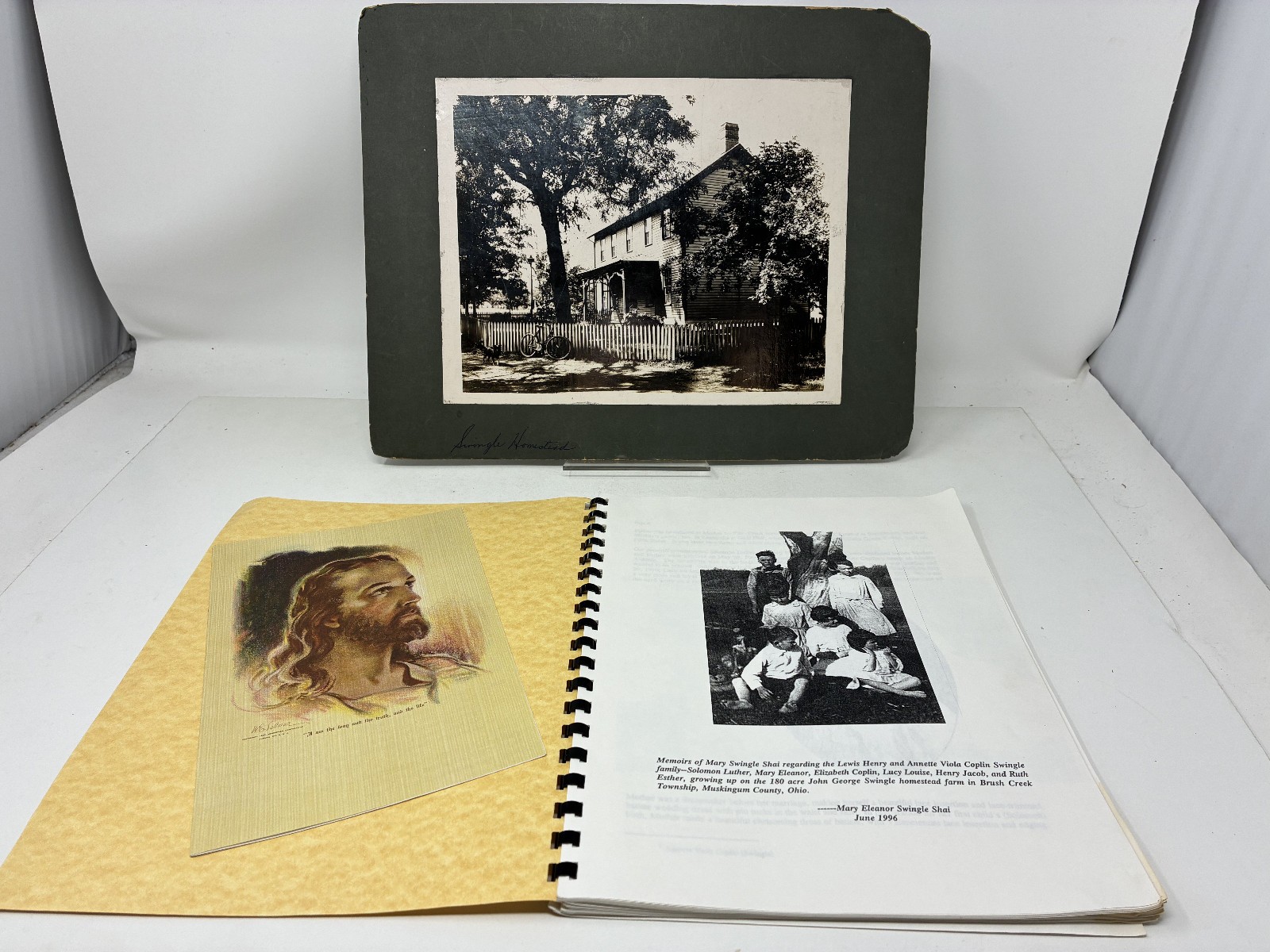 1900s Farm Family Rural Life History Muskingum County Ohio Typed Diary Memoir