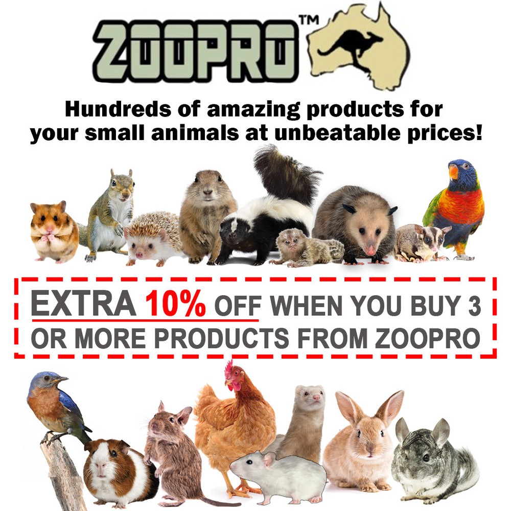 Multi-Branch Perch, Small - Durable Cage Accessory - Sugar Glider, Rat, Parrot