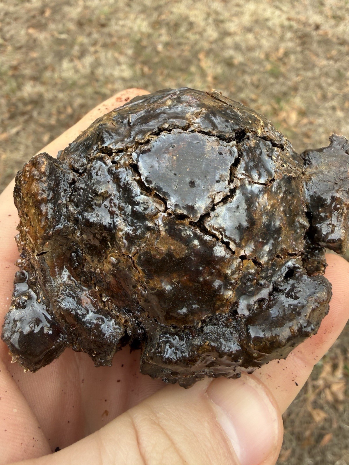 1715 Treasure Fleet Shipwreck Recovered Small Iron Cannonball - Encrusted