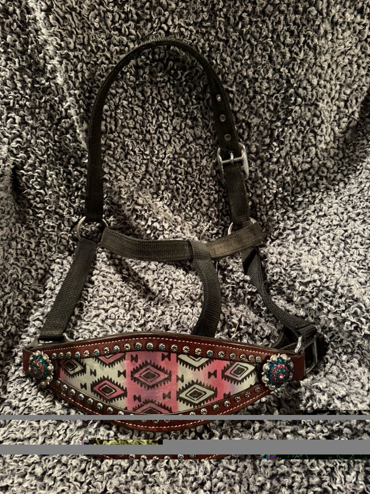 Bronc Halter