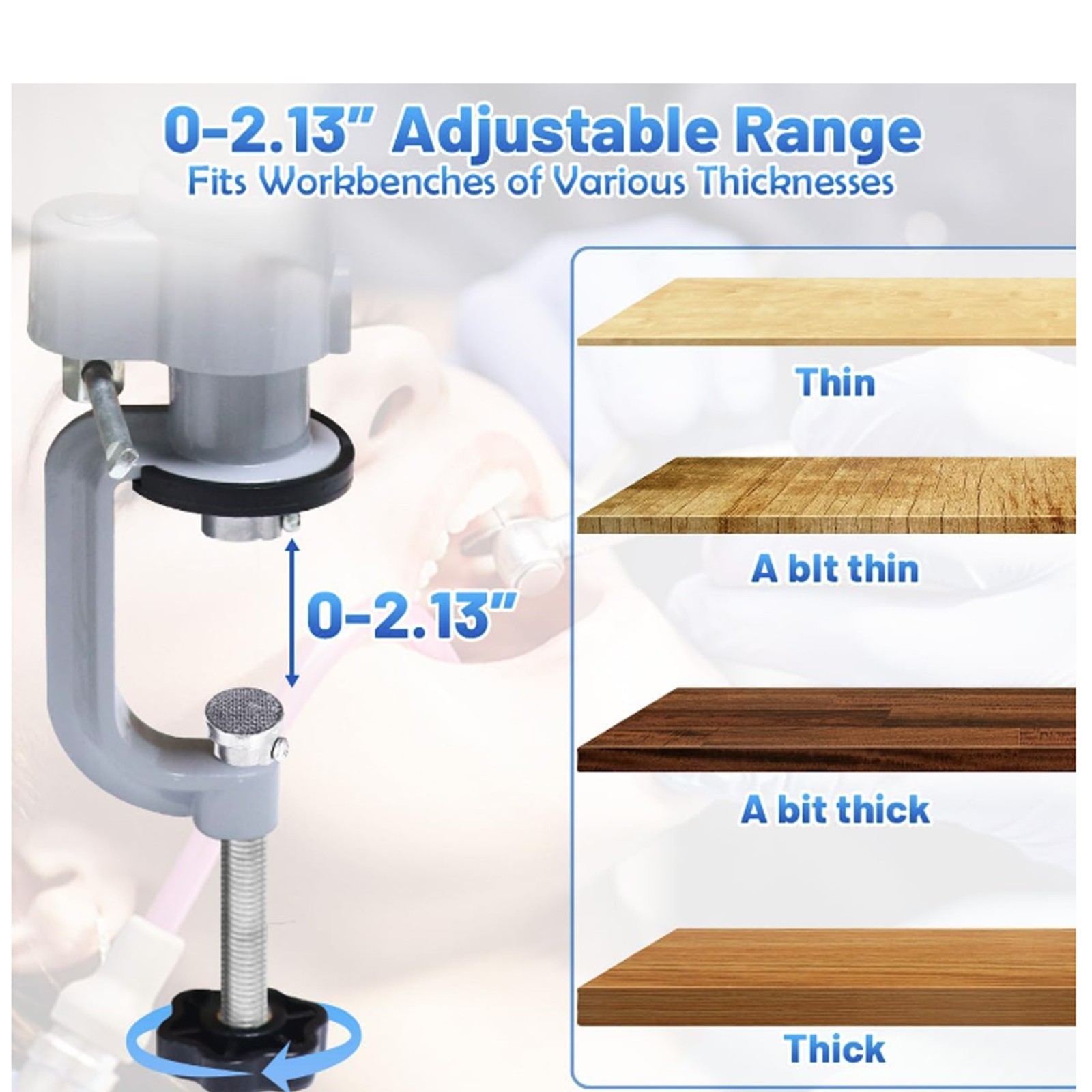 Dental Columbia Dentoform 860 Type Typodont​ 32 Teeth Removable​ Mounting Pole