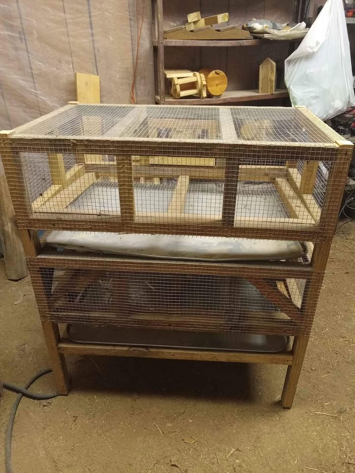 Double Decker Quail Hotel