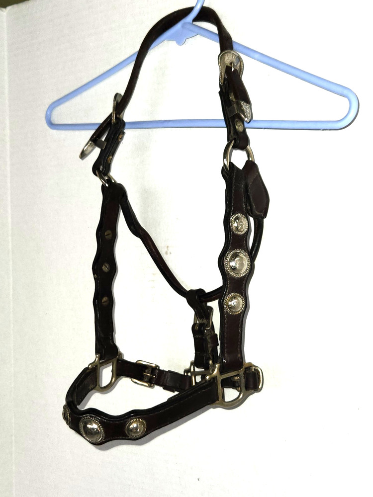 Brown Leather Silver Show Halter Yearling Size