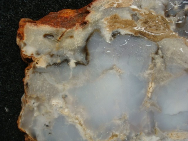 burro creek agate slab