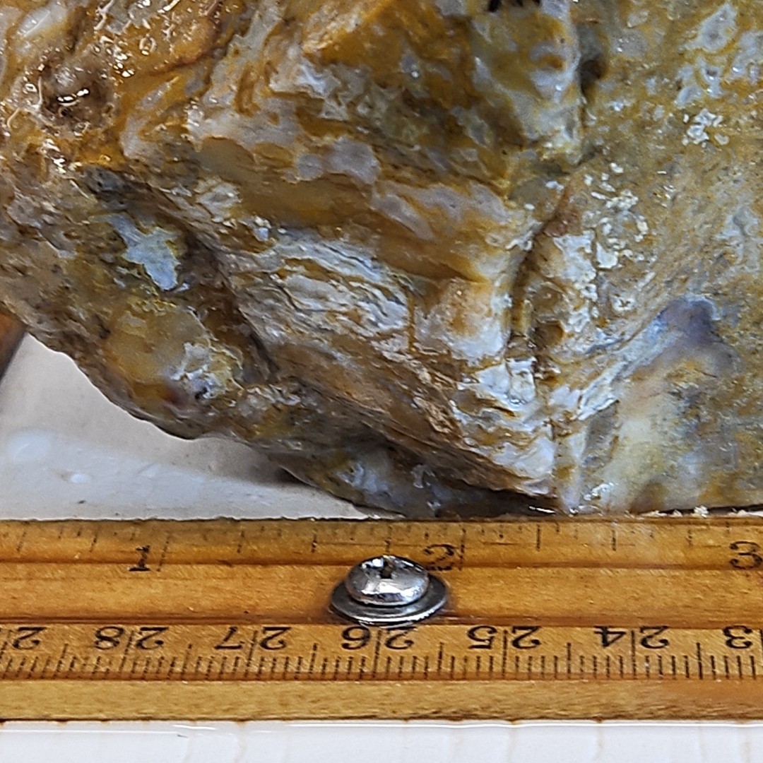 Royal blue agate rough. Spectacular blue colors, sharp banding 2LBS 4.7oz.