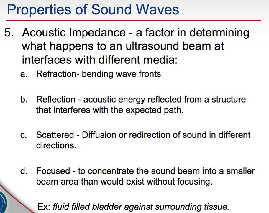 50 page SONOGRAPHY PowerPoint Presentation on CD
