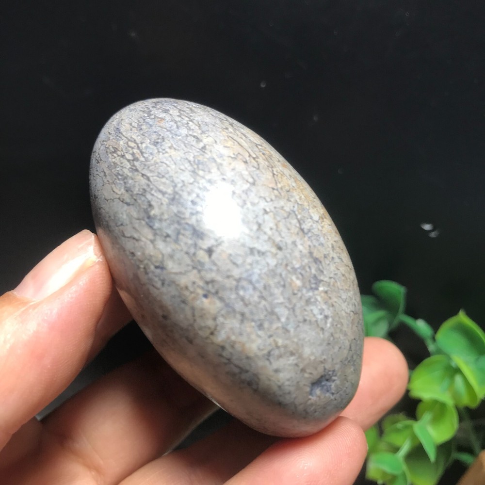 148g polished dinosaur bone specimen Madagascar 10