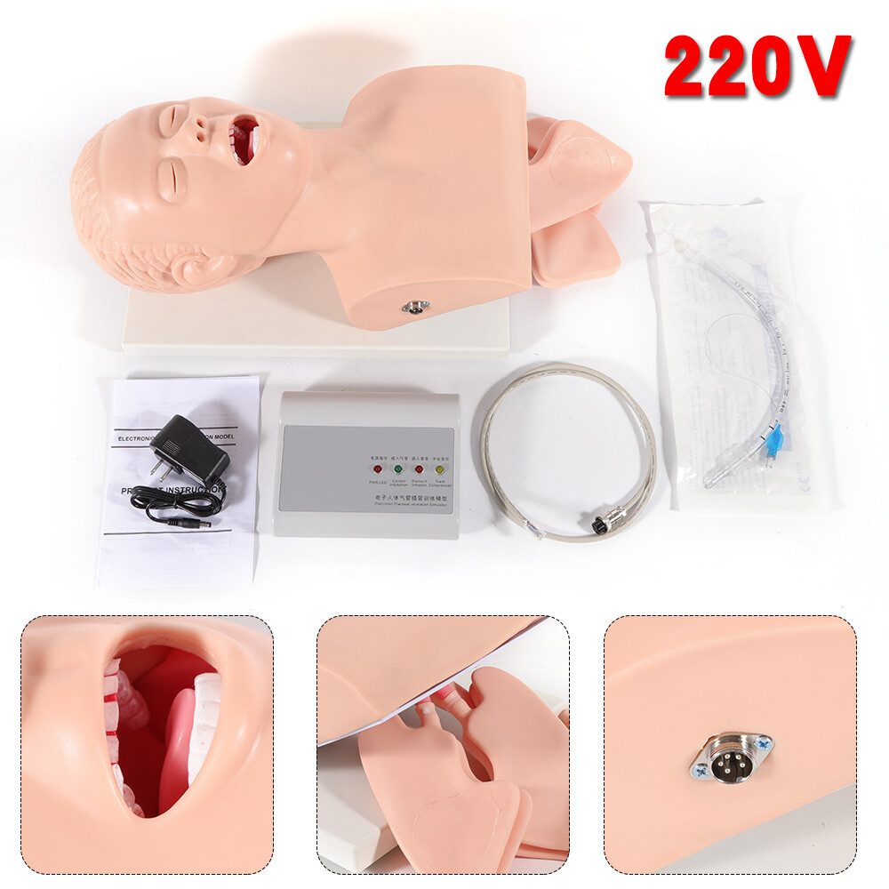 Intubation Manikin Study Teaching Simulator Airway Management Trainer Model
