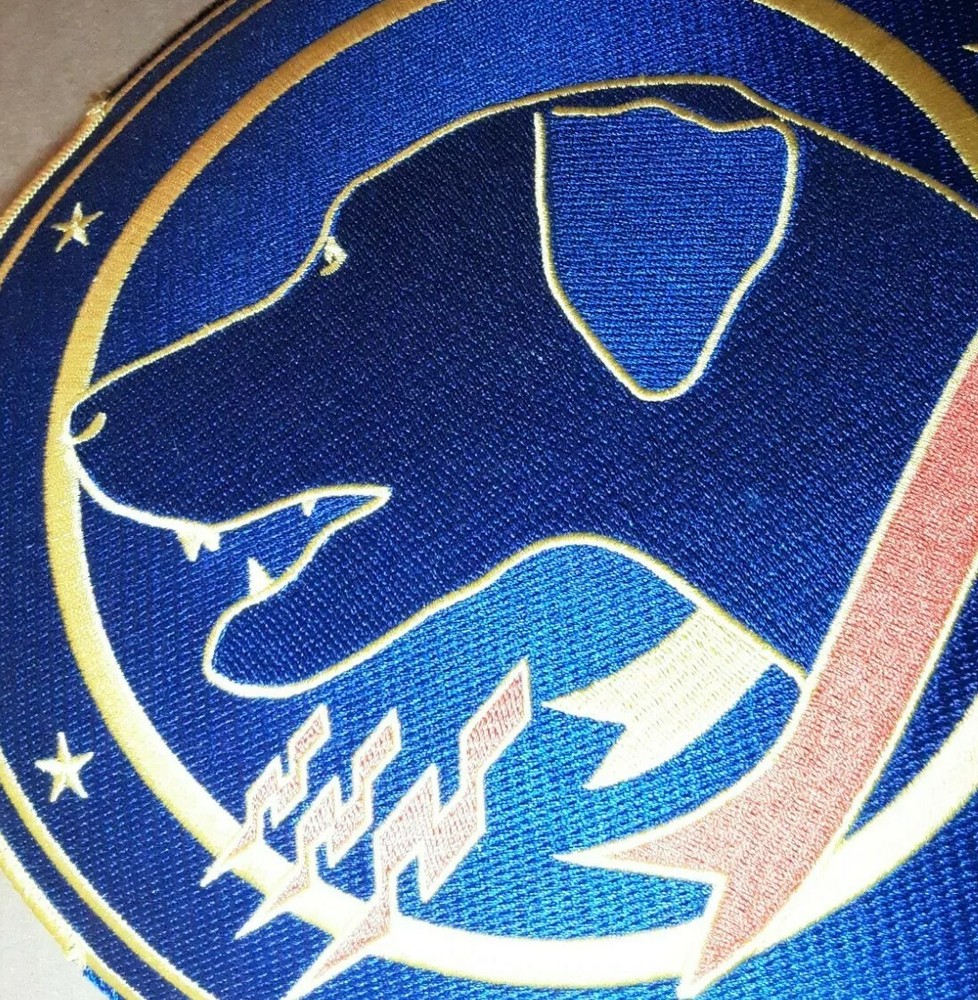 Tactical Fighter Squadron Wardog 9" Patch Without Add Ons READ
